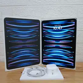 iPad Pro 11inch M2 (4th Gen) 512GB Wifi Only 512GB International 11