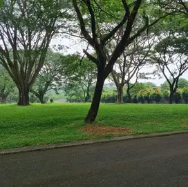 Dijual Kavling Siap Bangun Lavender Alam Sutera