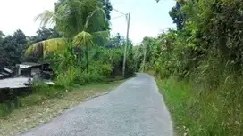 Tanah Zona Kuning dekat Bali Silent Retreat & air panas Penatahan Bali