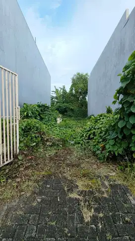 Tanah mojo tengah kota