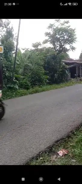 jual lahan luas 10 haktar murah