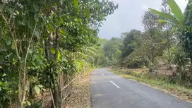Jual Tanah Cocok Peternakan Perkebunan Luas 1,4 ha di Wanayasa Purwaka