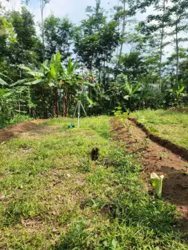 Dijual Tanah pekarangan