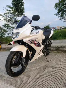 Ninja RR new albino 2012