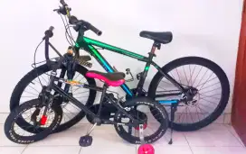 Sepeda WimCycle & Poligon Monarch 3