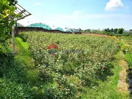 Tanah Area Bumiaji Batu Cocok untuk Cafe, Villa