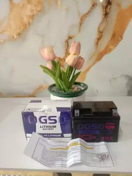 Baterai GS Kering GTZ5S BARU 6 Ahmper