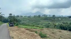 Tanah lokasi Pujon Batu cocok tuntun investasi