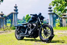 Harley davidson sportster883 Ultra Classic hammer intruder