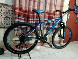 Sepeda MTB,Mulus,Normal,Siap gowes,Rem cakram,Bonus Asesoris,BU,Curug