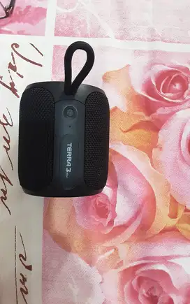 Eggel terra 3 mini