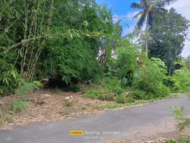 Tanah Pekarangan Utara Pasar Cebongan Mlati
