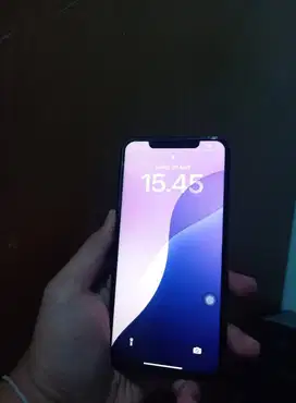 11 PROMAX 256GB EX LL/A