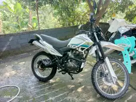 Motor trail SM Sport 2024