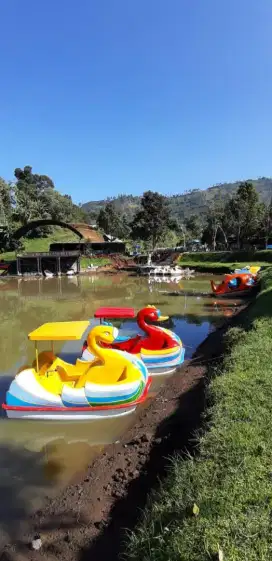 Sepeda air tipe angsa jumbo premium