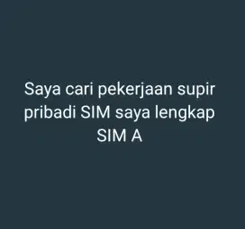 Driver mobil supir pribadi