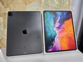 Apple Ipad Pro 4th gen 2020 12.9 wifi celuler 256Gb garansi resmi