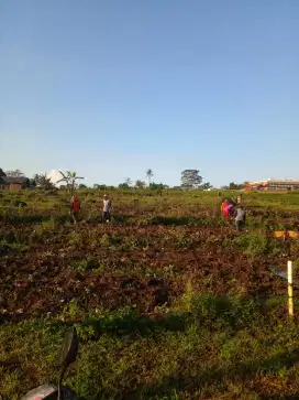 DI JUAL CEPAT TANAH