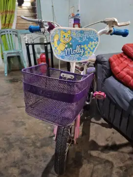 sepeda anak kecil umur 6 tahum