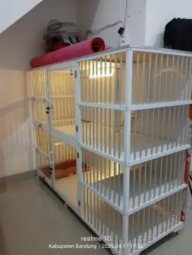 Kandang Kucing Mulus
