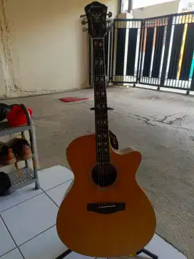 Gitar akustik electric IBANEZ DG-4