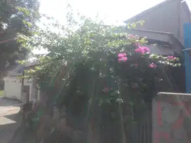 jual rumah luas tanah 170