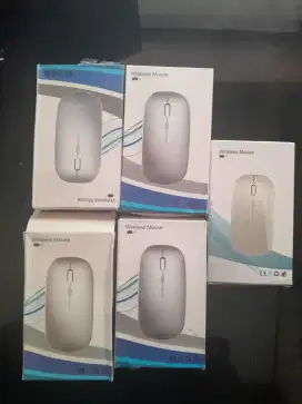 MOUSE WERLES KONDISI BARU