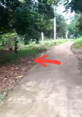 Tanah 750m² SHM belakang RSUD Cileungsi, Jonggol Bogor timur