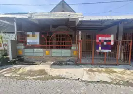 ( MURAH ) RUMAH DI PLAMONGAN INDAH PEDURUNGAN SEMARANG