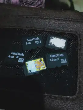 MicroSD 5pcs 100rb