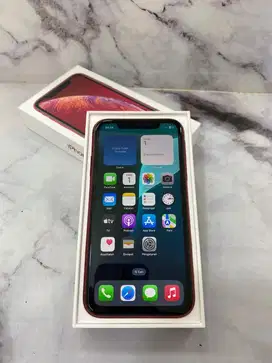 Iphone xr 128gb ibox