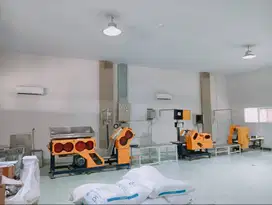 Pabrik MAKANAN dekat Kampus UKDW Sedayu