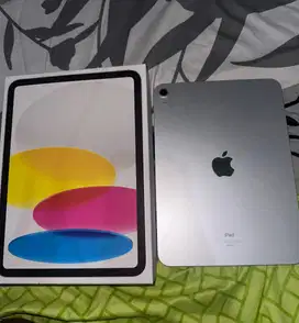 Ipad gen 10 ibox 64gb silver garansi on