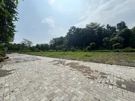 Tanah Jogja Utara Kampus UGM, Prospek Investasi Kos