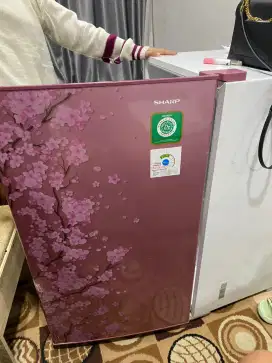 Kulkas Sharp 1 pintu