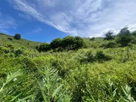 Tanah murah Jual cepat dekat pantai Awang Mandalika Lombok