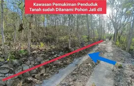 Jual tanah murah di Goa Pindul Bejiharjo Gunung kidul