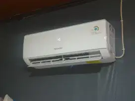 AC Sharp 1/2 pk