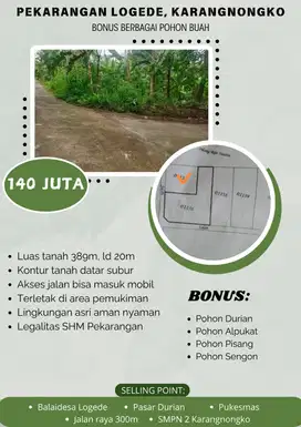 TANAH PEKARANGAN MURAH HARGA 140JT LUAS 389M