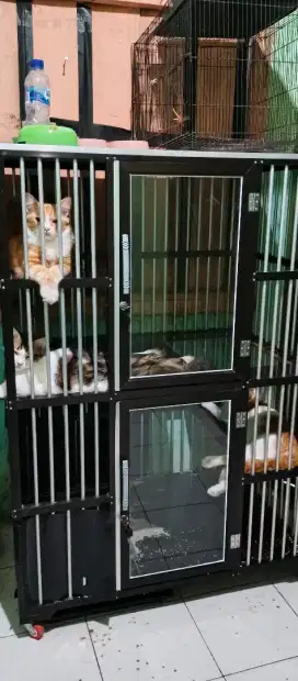 Kandang kucing alumunium bekas tapi hitungan nya baru