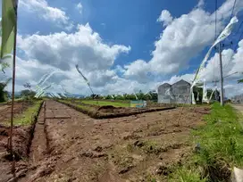 Tanh dijual cepat harga 150 juta luas 64 m2 area bandulan Kota Malang