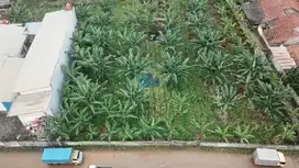 Dijual Tanah Strategis di Dangdang, Cisauk - Tangerang