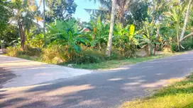 DIJUAL TANAH PEKARANGAN VIEW SAWAH & GUNUNG DEKAT JL SAMAS.JK13302