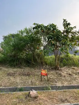 Dijual Kavling Luas 200 m², Taman Simpruk Lippo Cikarang, 750 Juta!