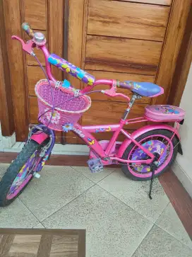 Sepeda Anak Family Flubber 16