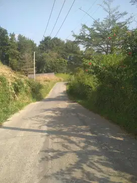 Dijual Tanah Pancawati SHM 1,1 Ha