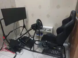 Simulator racing, logitech, next level