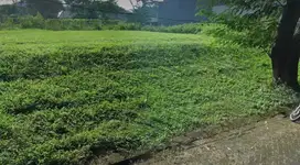 SIAP BAGUN BUKIT GOLF CITRALAND 2 JEJER dkt pakuwon graha famili