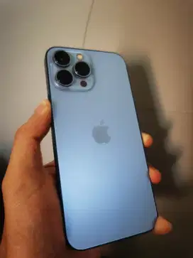Iphone 13 Promax 256GB mulus unit only