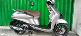 Green Filano Lux th 2024 km 4500
